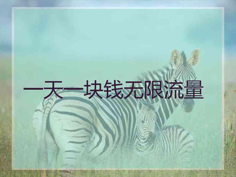 一天一块钱无限流量