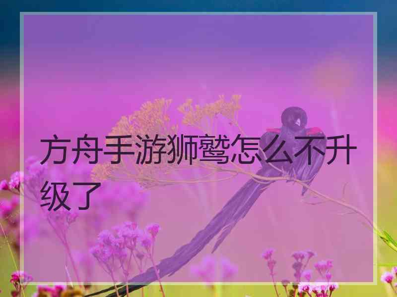 方舟手游狮鹫怎么不升级了