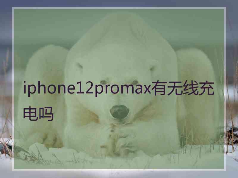 iphone12promax有无线充电吗