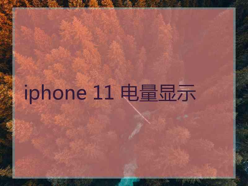 iphone 11 电量显示