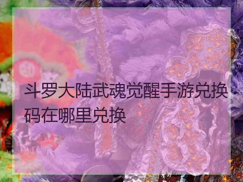 斗罗大陆武魂觉醒手游兑换码在哪里兑换