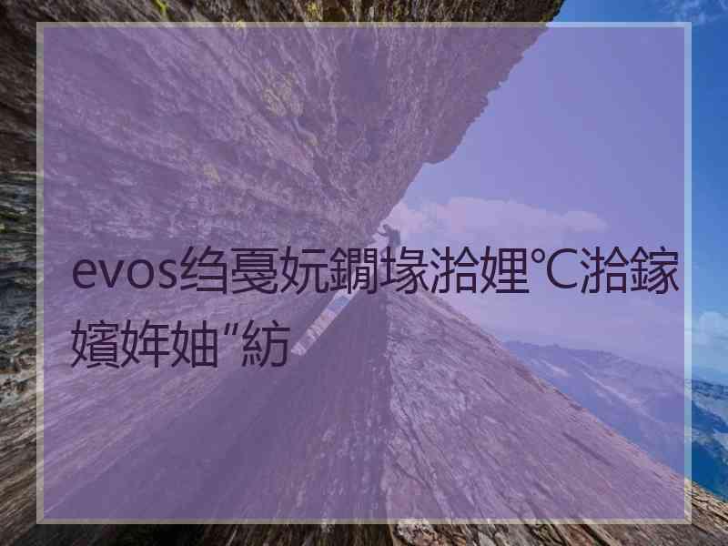 evos绉戞妧鐗堟湁娌℃湁鎵嬪姩妯″紡