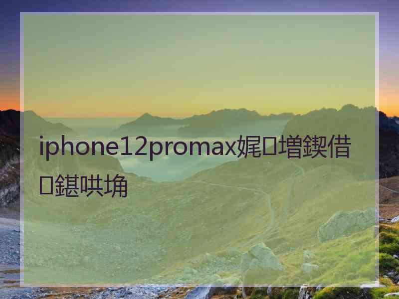 iphone12promax娓増鍥借鍖哄埆