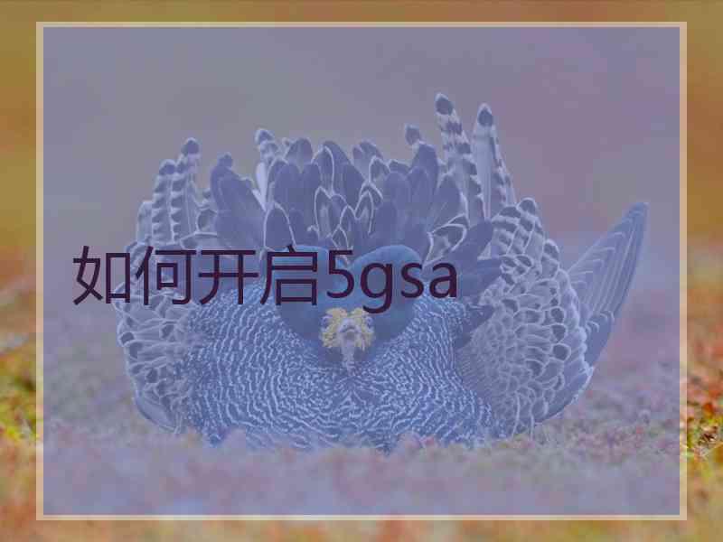 如何开启5gsa