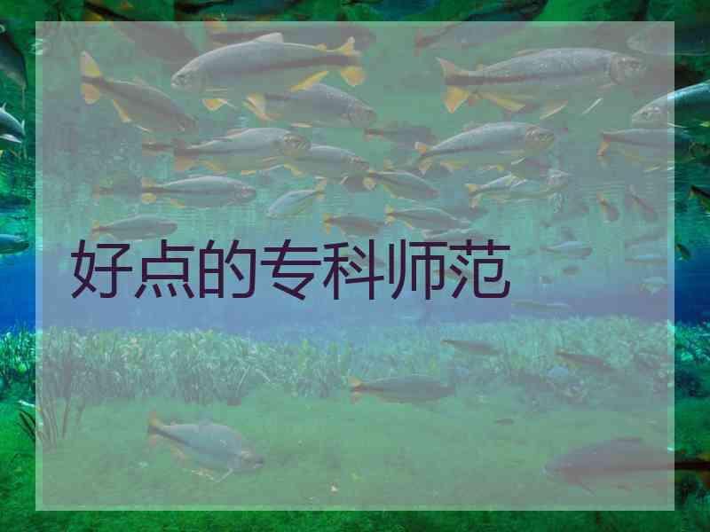 好点的专科师范