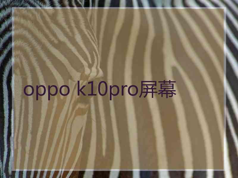 oppo k10pro屏幕