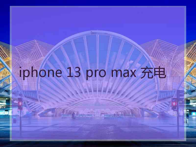 iphone 13 pro max 充电