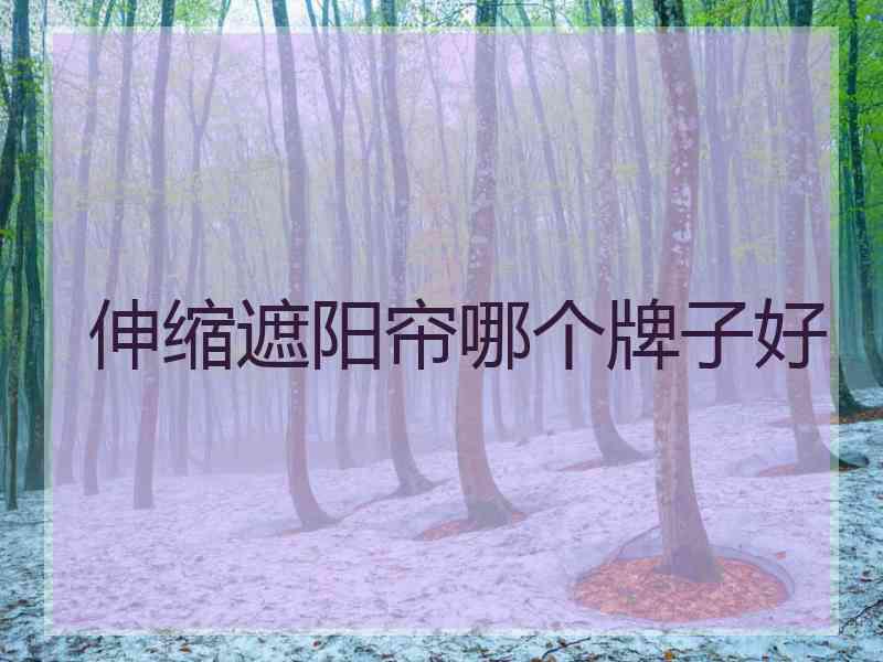 伸缩遮阳帘哪个牌子好