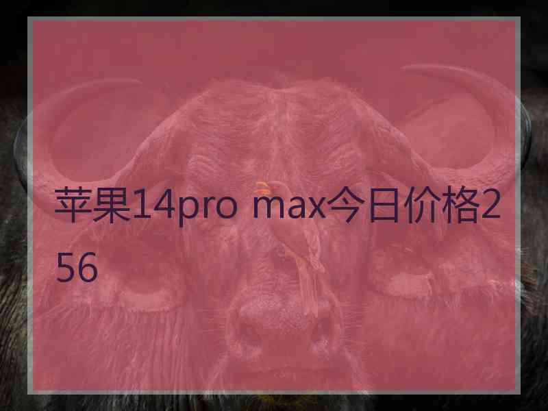 苹果14pro max今日价格256