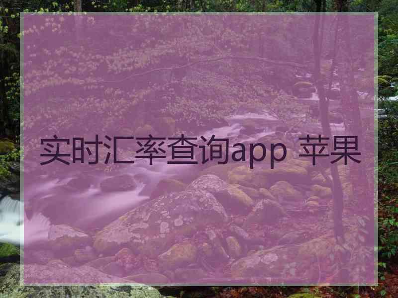 实时汇率查询app 苹果