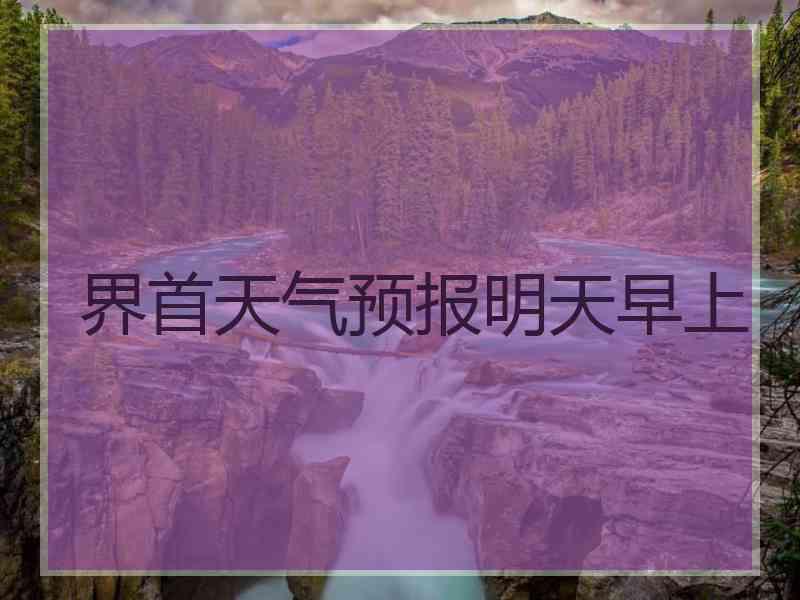 界首天气预报明天早上