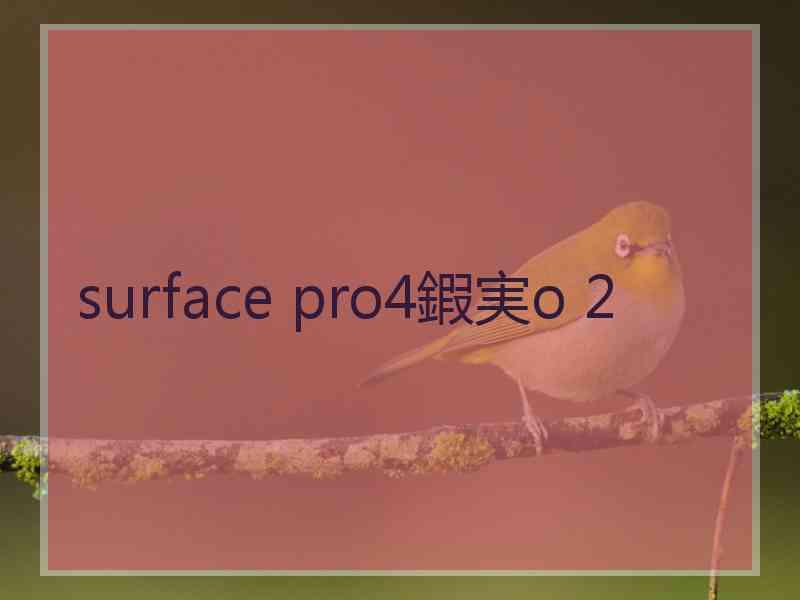 surface pro4鍜実o 2