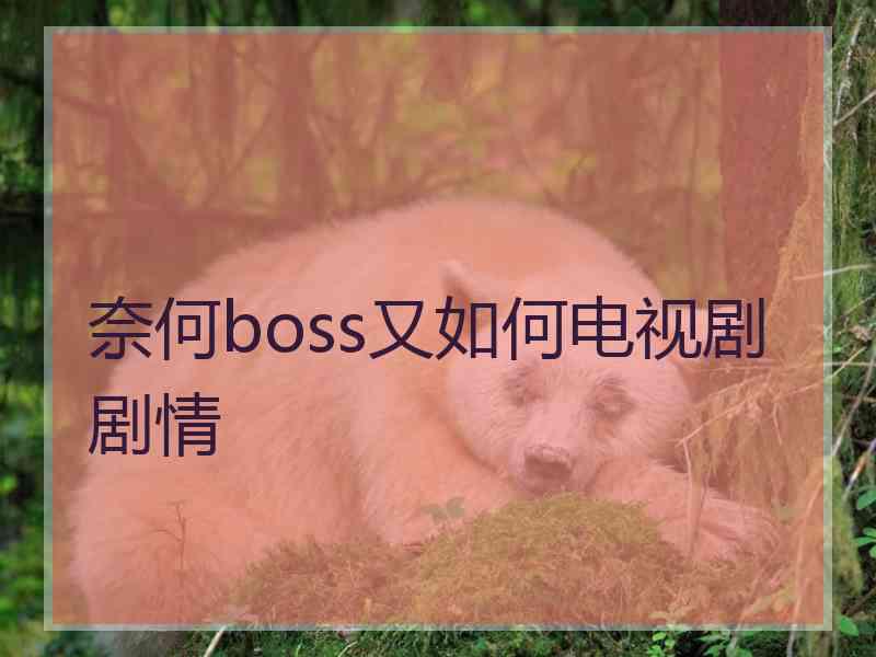 奈何boss又如何电视剧剧情