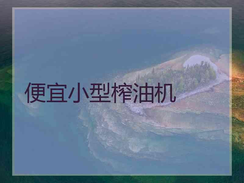 便宜小型榨油机