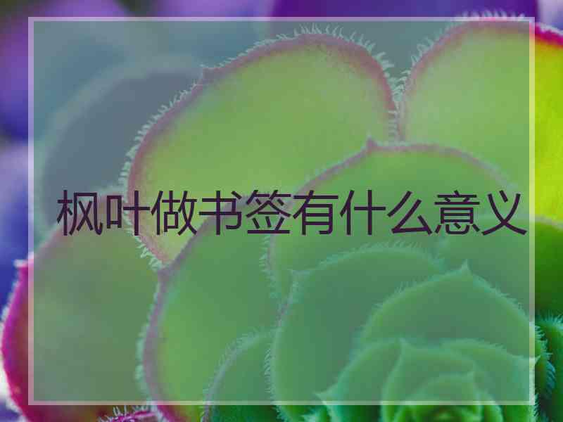 枫叶做书签有什么意义