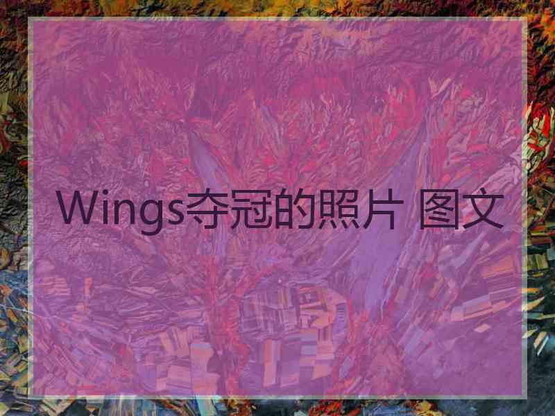 Wings夺冠的照片 图文