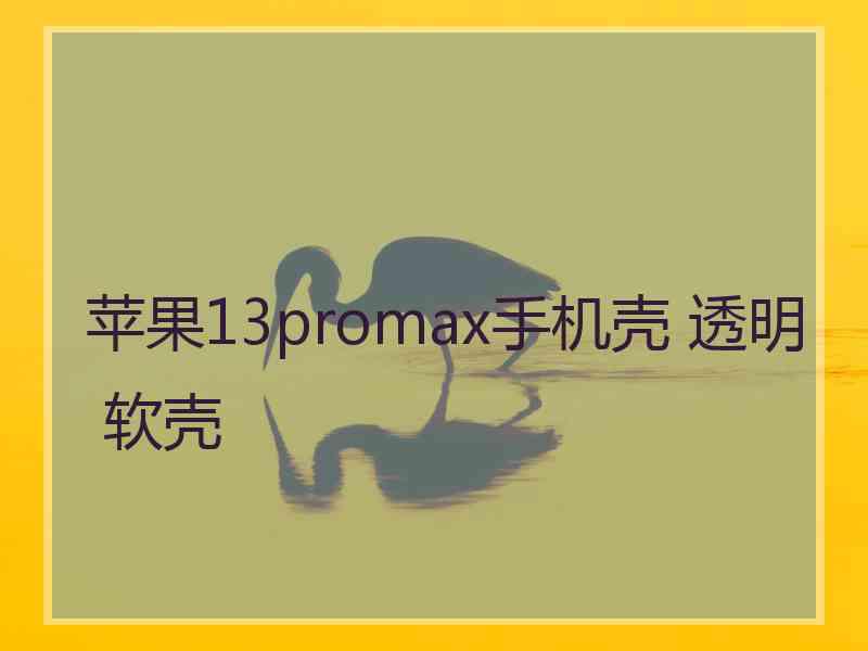 苹果13promax手机壳 透明 软壳