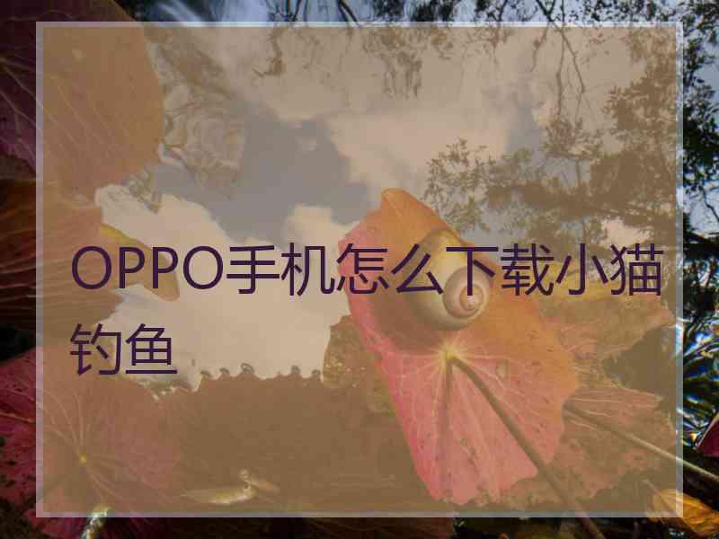 OPPO手机怎么下载小猫钓鱼