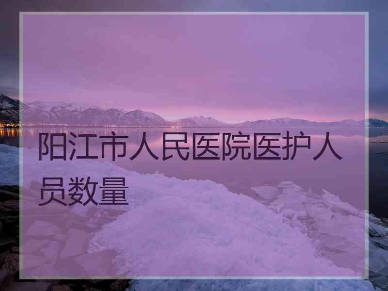 阳江市人民医院医护人员数量