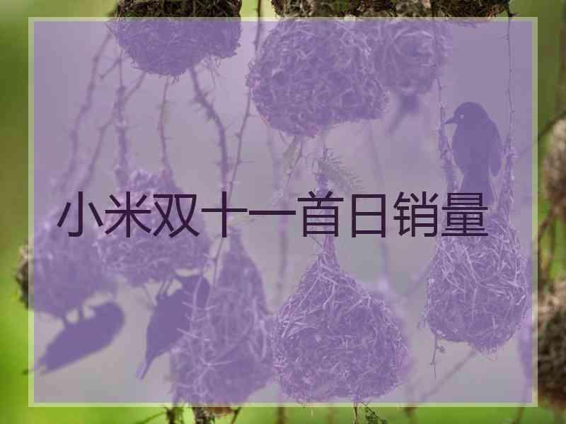 小米双十一首日销量