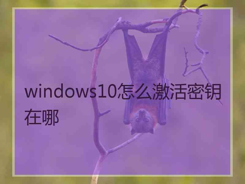 windows10怎么激活密钥在哪