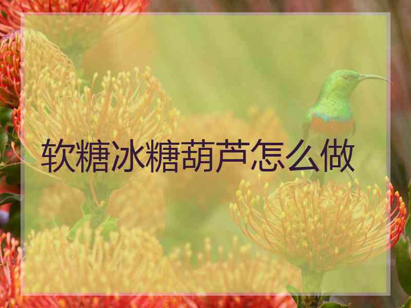 软糖冰糖葫芦怎么做