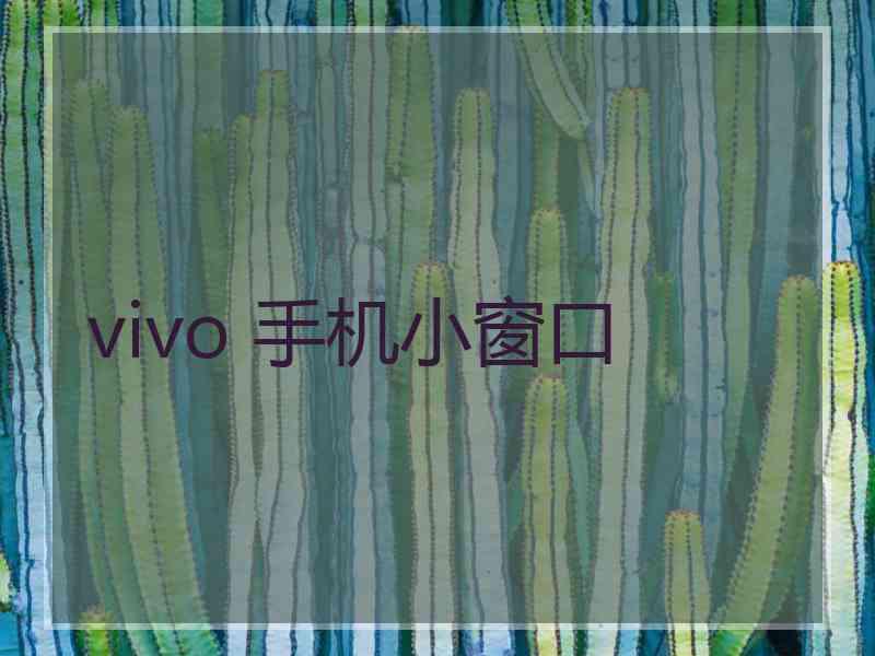 vivo 手机小窗口