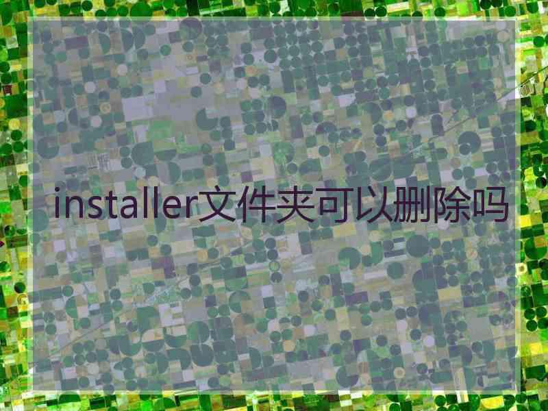 installer文件夹可以删除吗