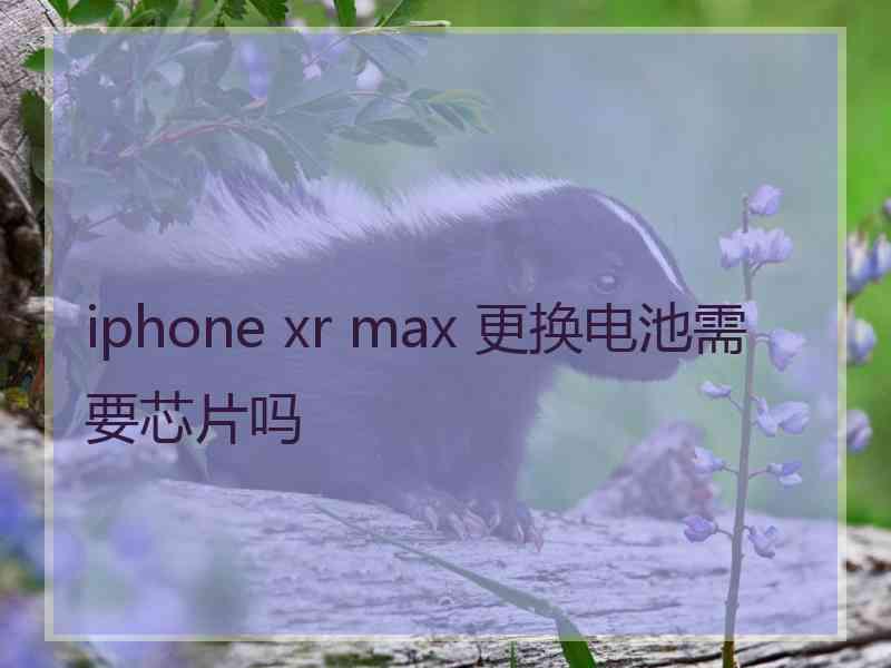 iphone xr max 更换电池需要芯片吗