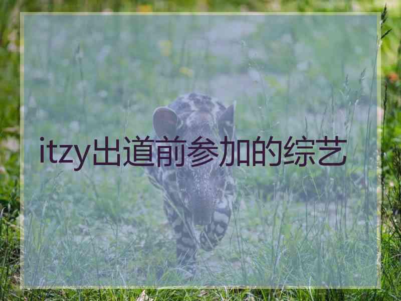 itzy出道前参加的综艺