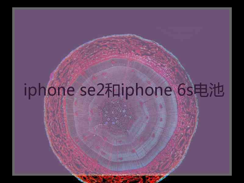 iphone se2和iphone 6s电池