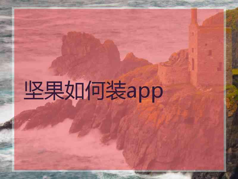 坚果如何装app