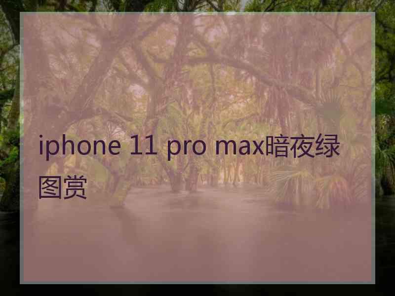 iphone 11 pro max暗夜绿图赏