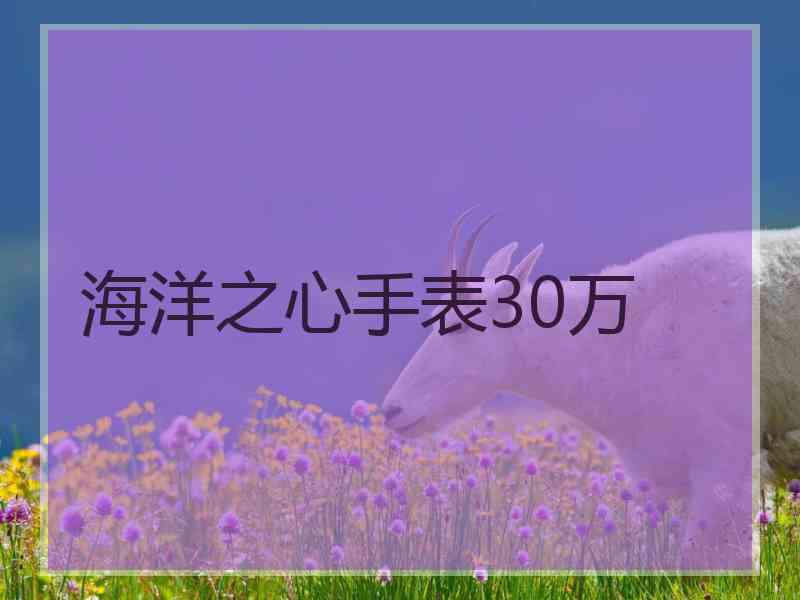 海洋之心手表30万