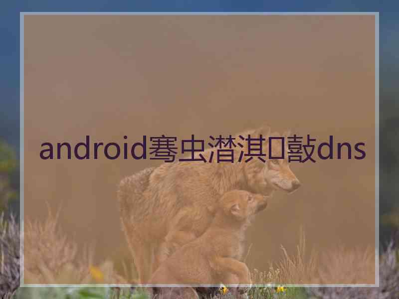 android骞虫澘淇敼dns