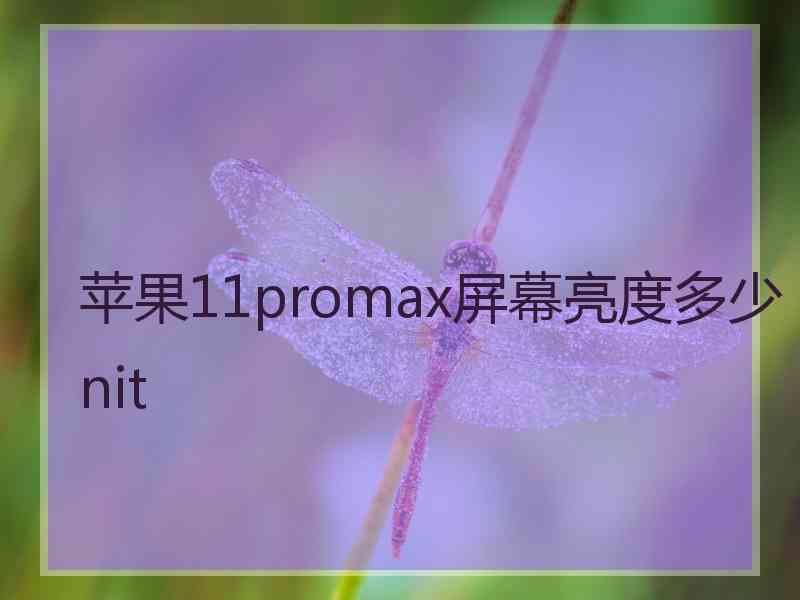 苹果11promax屏幕亮度多少nit