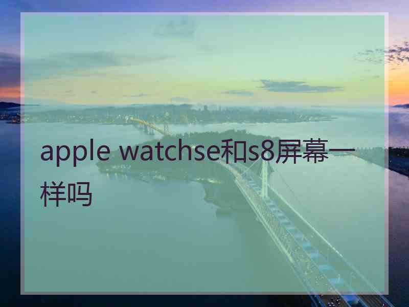 apple watchse和s8屏幕一样吗