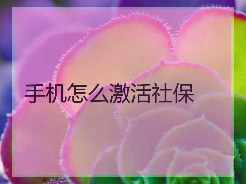 手机怎么激活社保