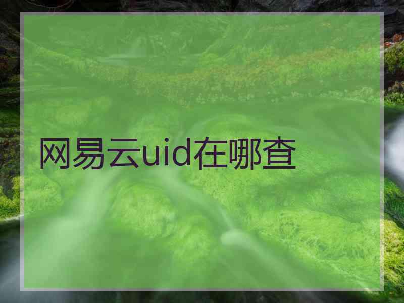 网易云uid在哪查