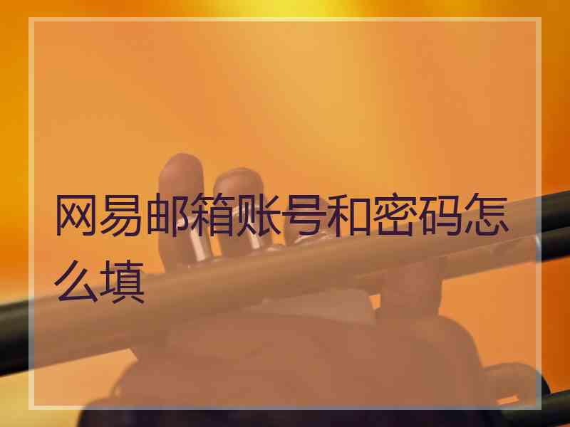 网易邮箱账号和密码怎么填