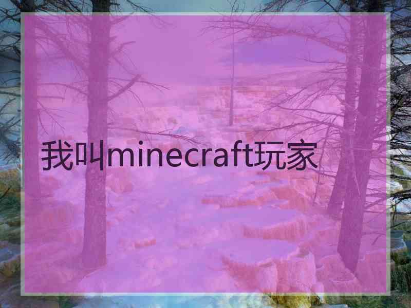 我叫minecraft玩家