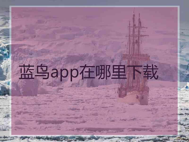 蓝鸟app在哪里下载