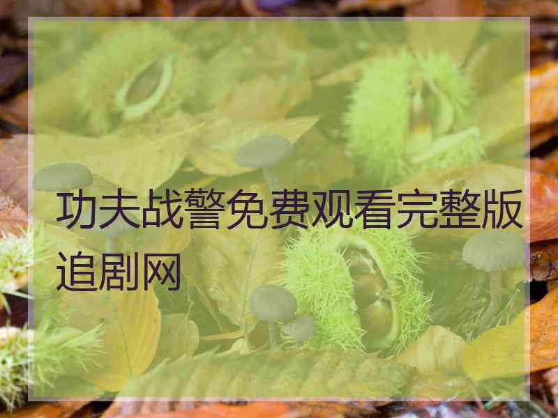 功夫战警免费观看完整版追剧网