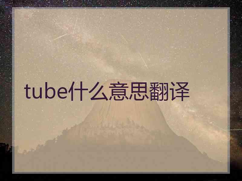 tube什么意思翻译