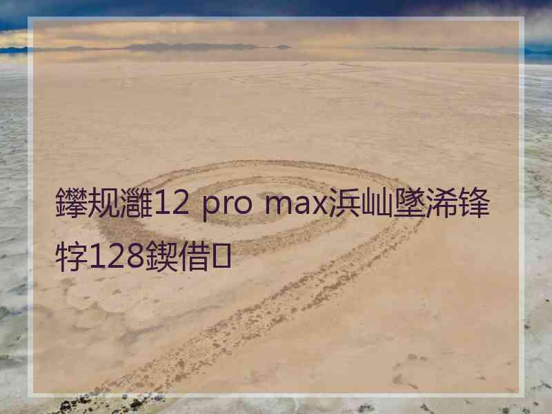 鑻规灉12 pro max浜屾墜浠锋牸128鍥借