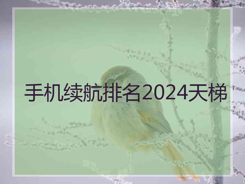 手机续航排名2024天梯