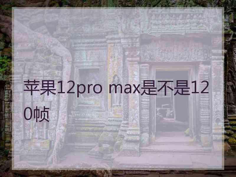 苹果12pro max是不是120帧