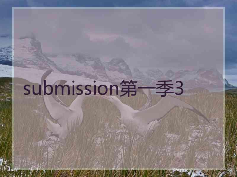 submission第一季3