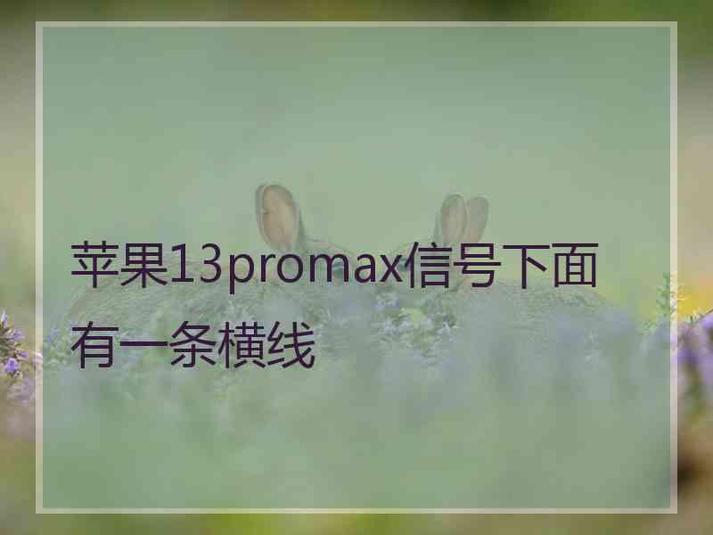 苹果13promax信号下面有一条横线