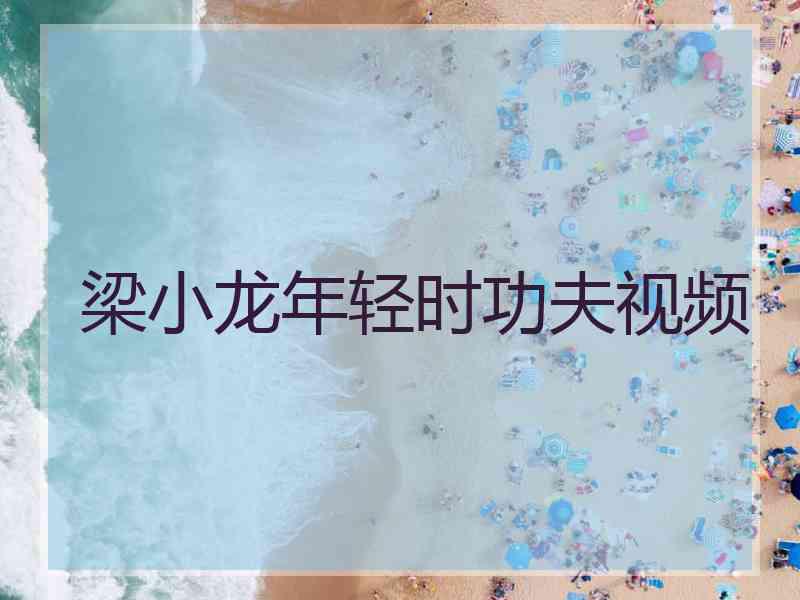 梁小龙年轻时功夫视频